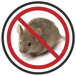 Anti souris.